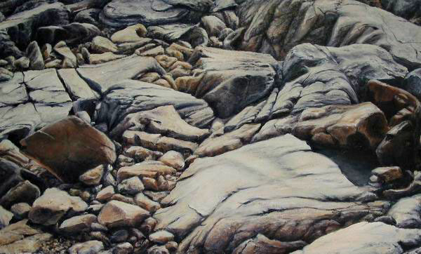 Groundcover: Seaside